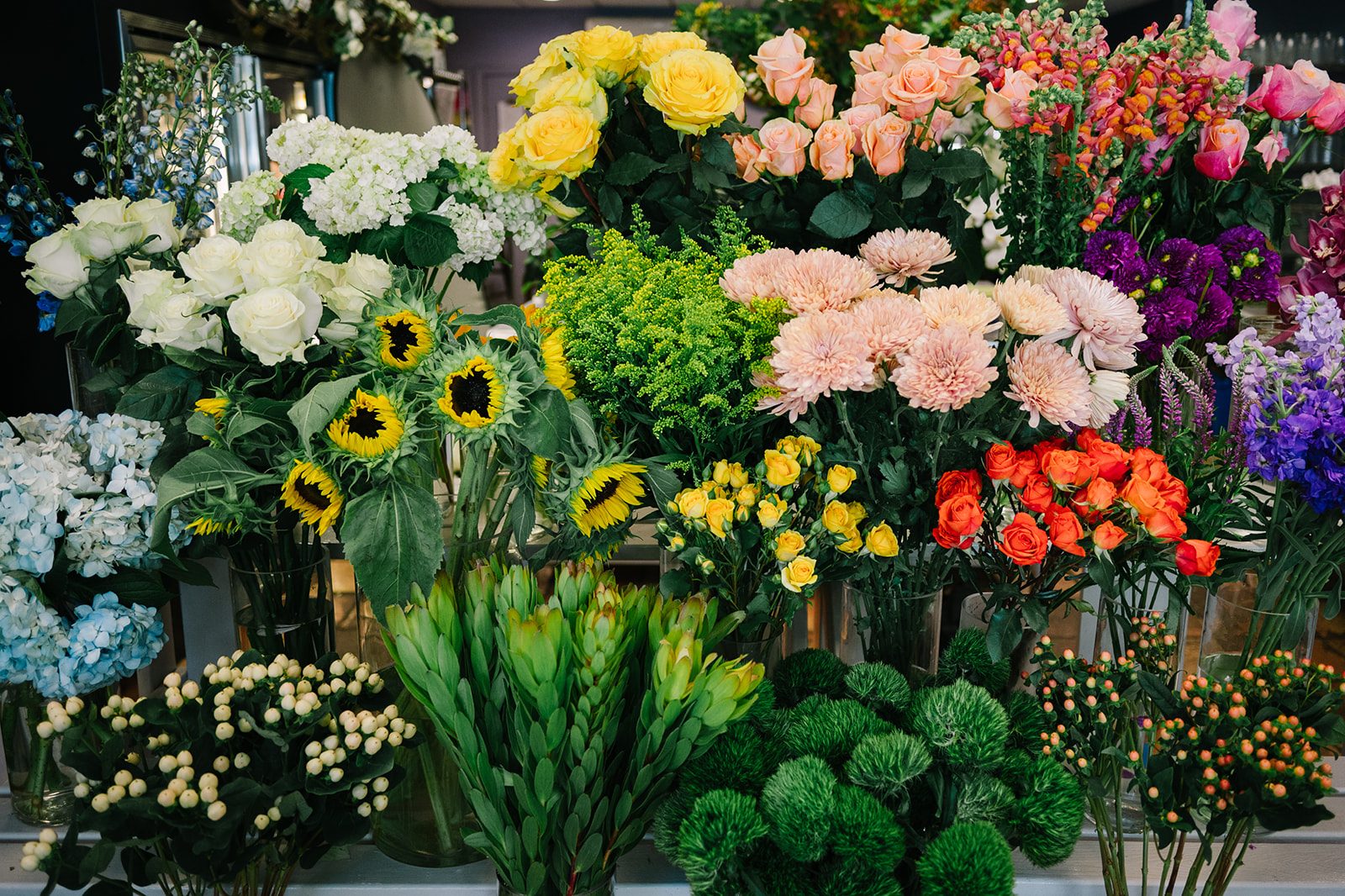 Buckets of fresh cut flowers in the cooler at The Flower Bar in Larchmont, NY — roses, delphinium, hydrangea, chrysanthemums and sunflowers
