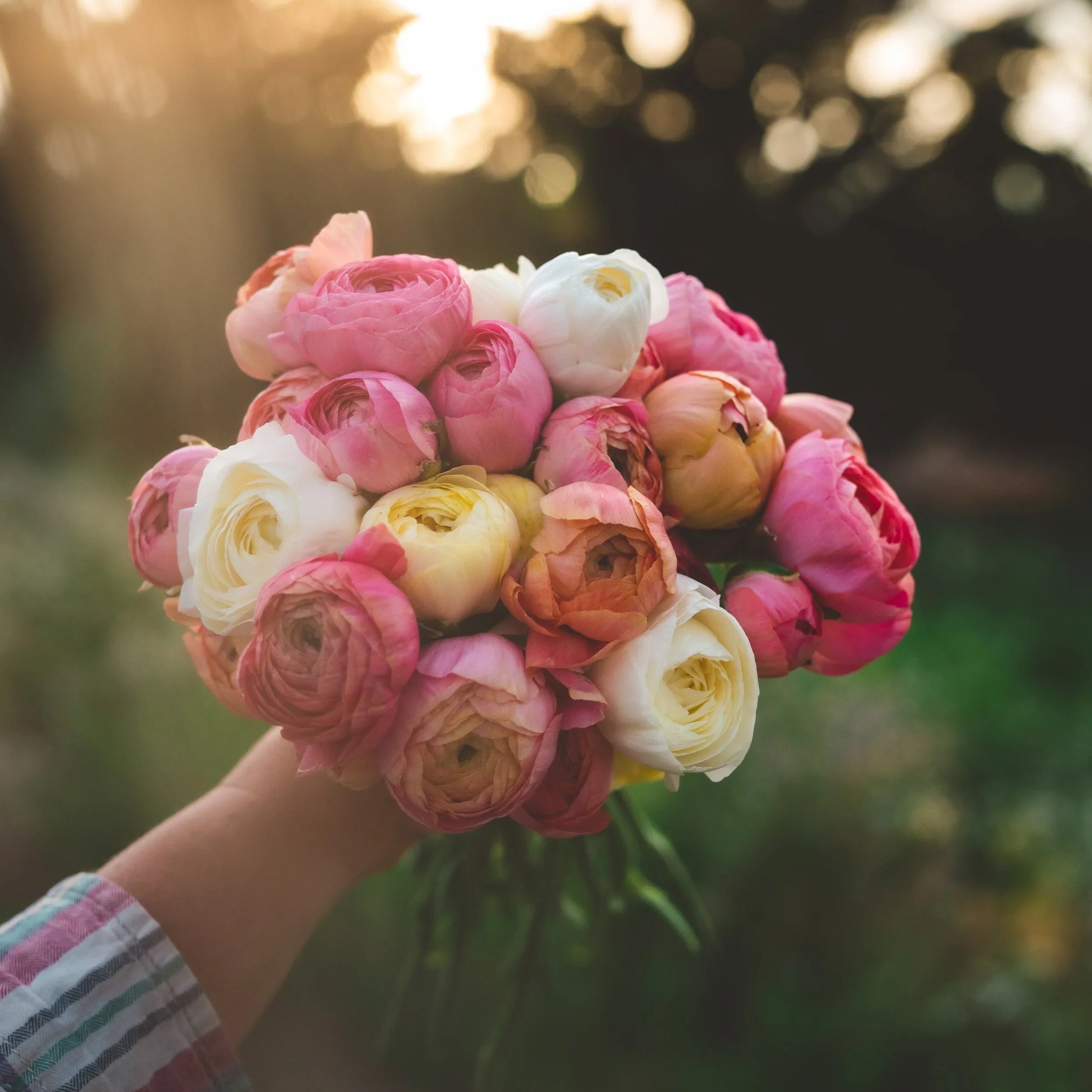 The Best Flowers for a New Baby (and What to Avoid)