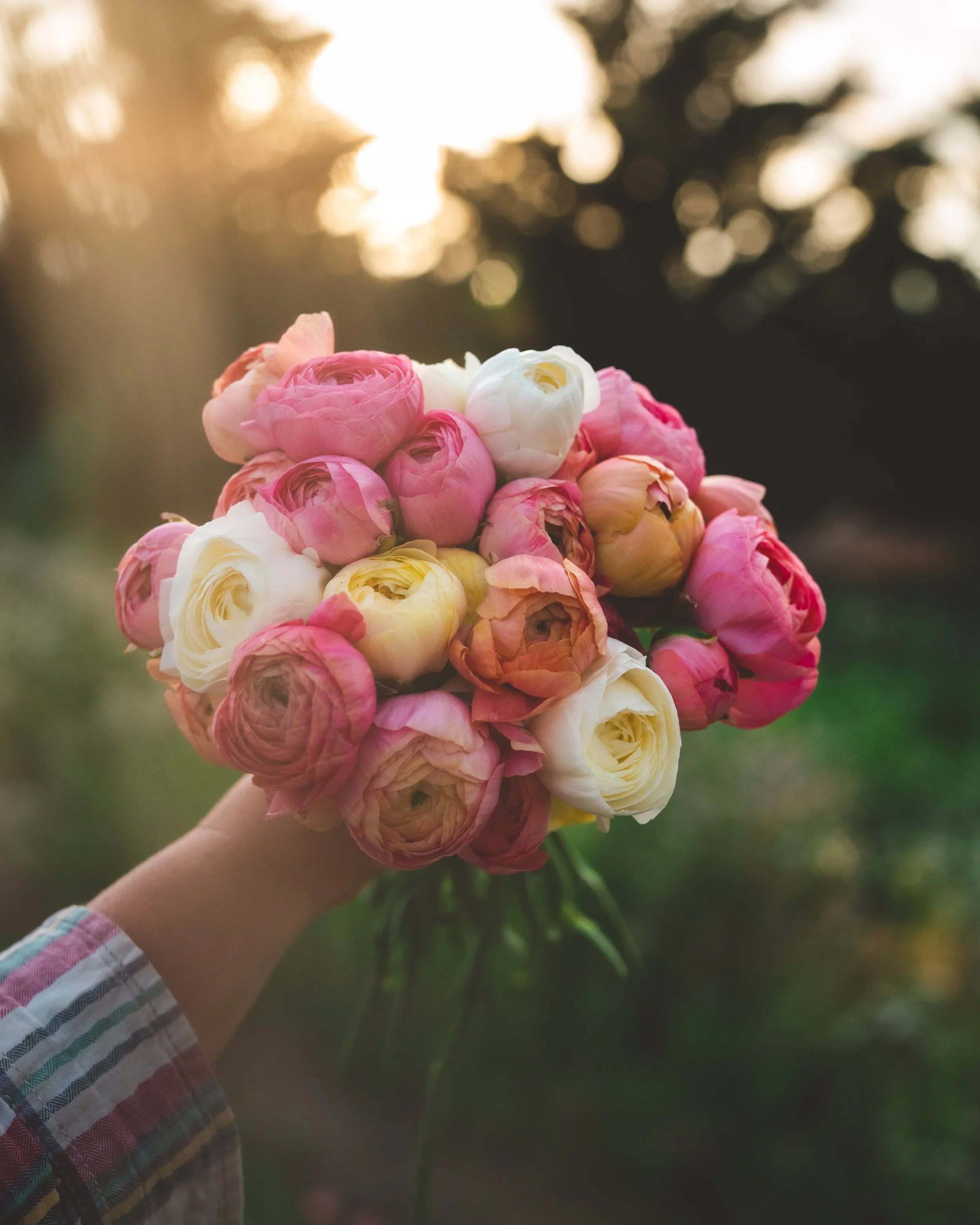 The Best Flowers for a New Baby (and What to Avoid)