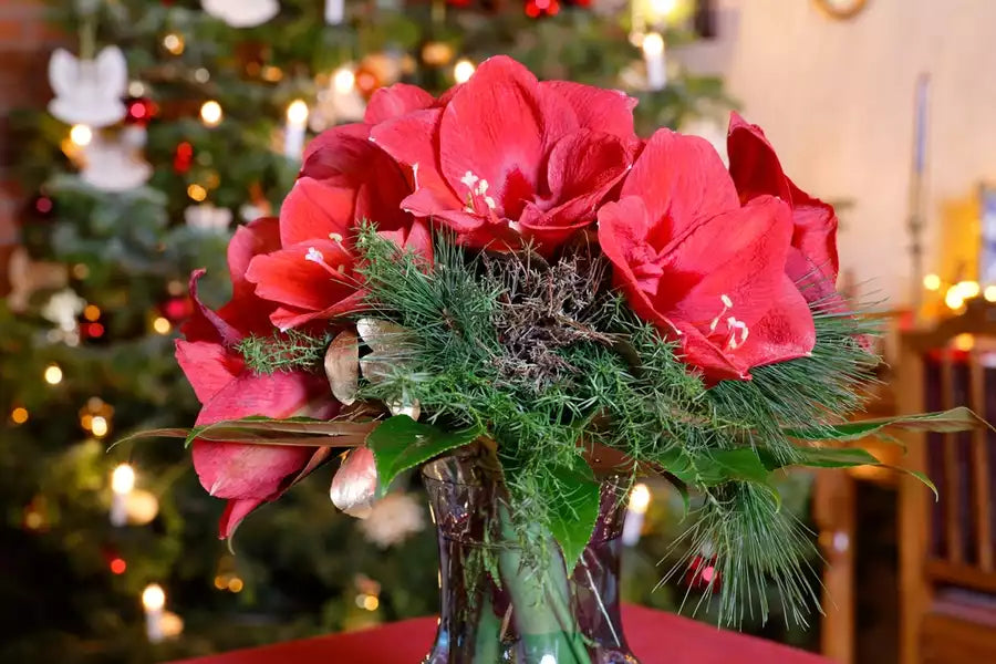 A deep pink Christmas flower arrangement.