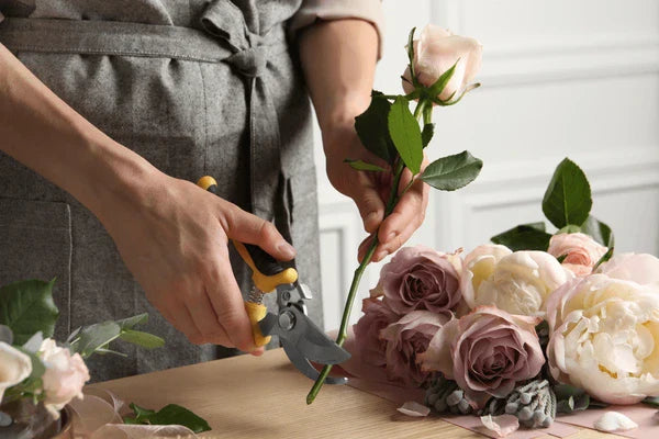 How to Care for Cut Flowers: A Florist's Real Advice