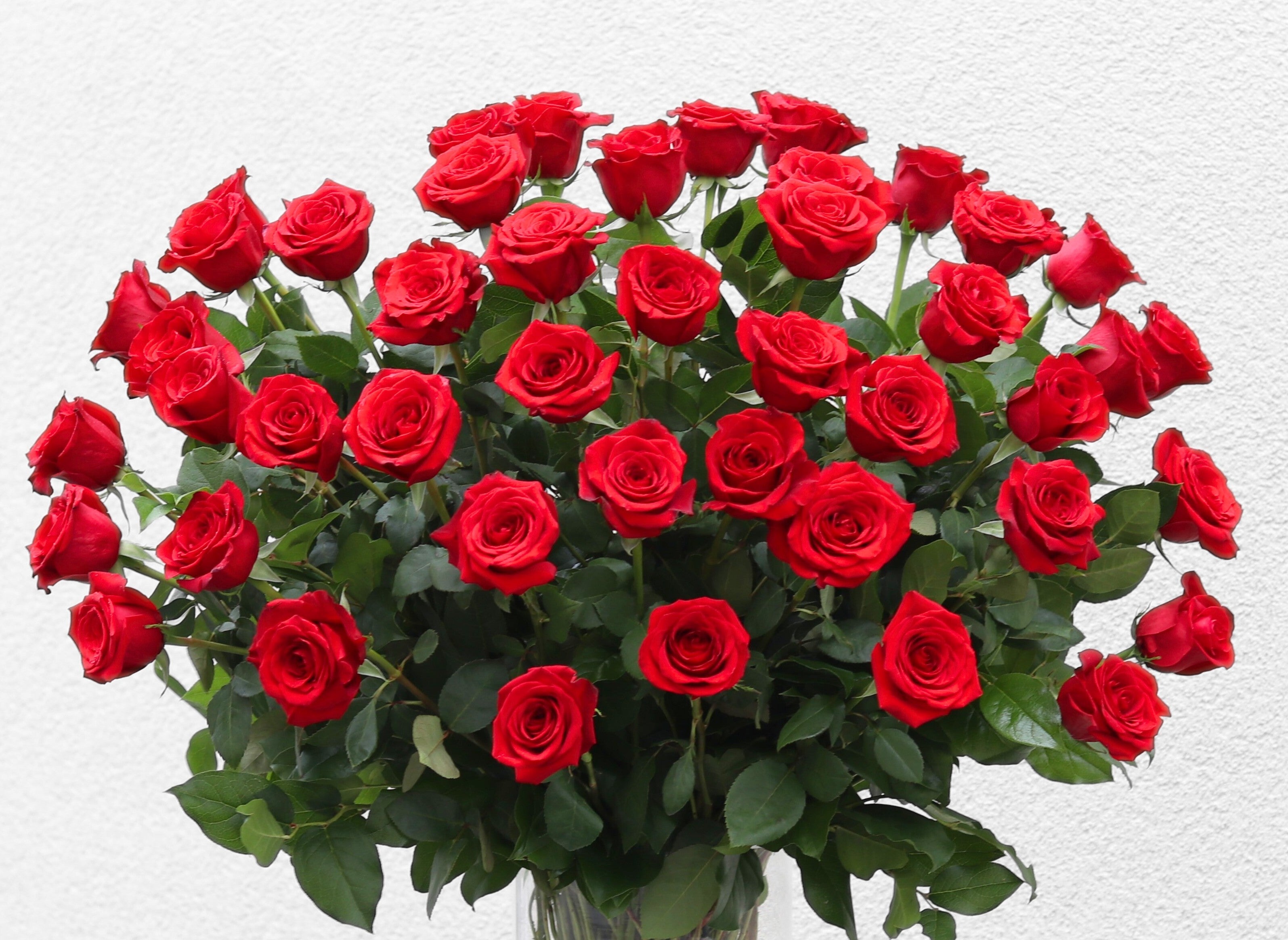 Roses