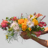 Sunlight Designer's Choice Palette