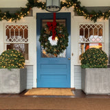 Blue front door decorated with a lush green wreath adorned with a red velvet bow, flanked by golden topiary topiaries in concrete planters.