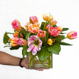Luxury Tulip Arrangement | Seasonal Designer Tulips in Vase