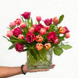 Luxury Tulip Arrangement | Seasonal Designer Tulips in Vase