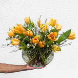 Luxury Tulip Arrangement | Seasonal Designer Tulips in Vase