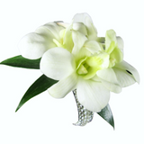 White Dendrobium Orchid Corsage