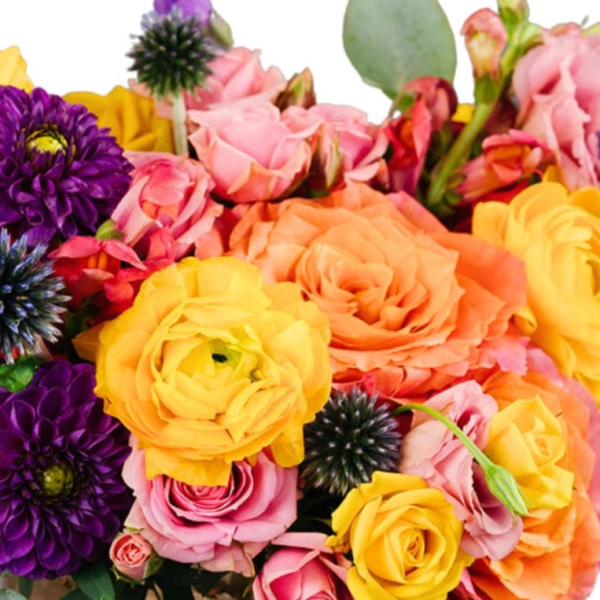 Vibrant mixed bouquet featuring yellow roses, pink ranunculus, orange spray roses, purple dahlias, and black scabiosa pods in a lush arrangement.