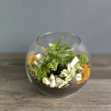 Terrarium Garden