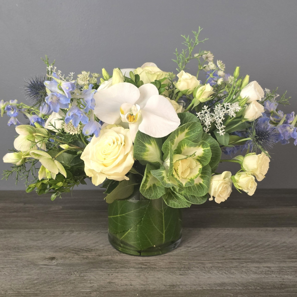 Lush cylinder vase arrangement with white orchids and roses, yellow spray roses, blue delphinium, and white baby's breath with preserved leaf collar.