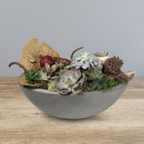 Succulent Boat