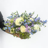 Coastal Cool Designer's Choice Palette