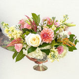 Blushes & Pinks Designer's Choice Palette