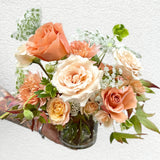 Apricot & Peach Designer's Choice Palette