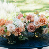 Apricot & Peach Designer's Choice Palette