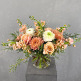 Apricot & Peach Designer's Choice Palette