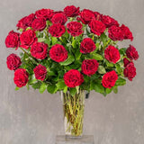 Three Dozen Roses