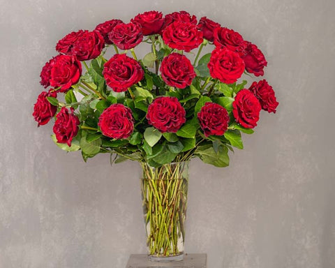 Lush bouquet of deep red roses with green foliage arranged in a clear glass vase filled with water. — The Flower Bar, Larchmont NY
