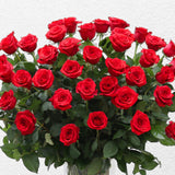 Four Dozen Roses