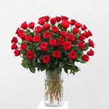 Four Dozen Roses