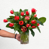 Luxury Tulip Arrangement | Seasonal Designer Tulips in Vase