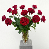 One Dozen Roses
