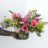 Seasonal Collection Designer's Choice: SPRING