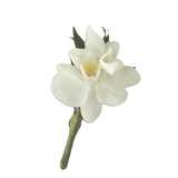 Elegant Orchid Boutonnniere